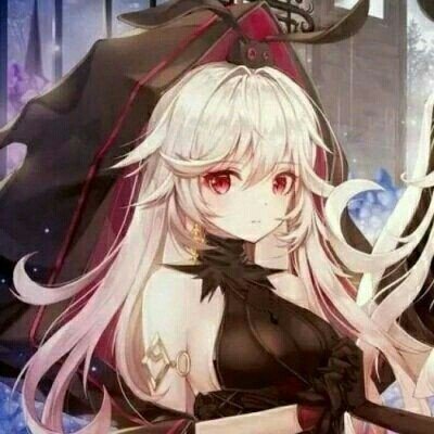 特朗普同意停火2周
